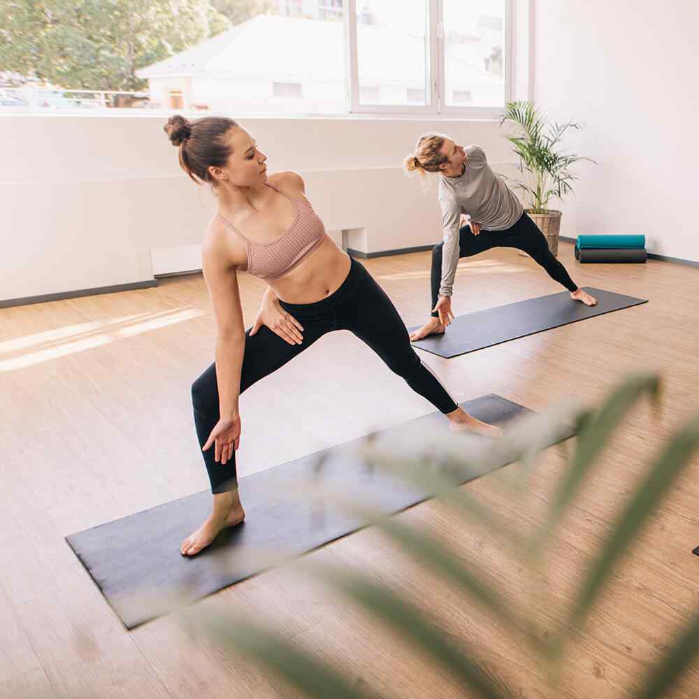 Hatha yoga